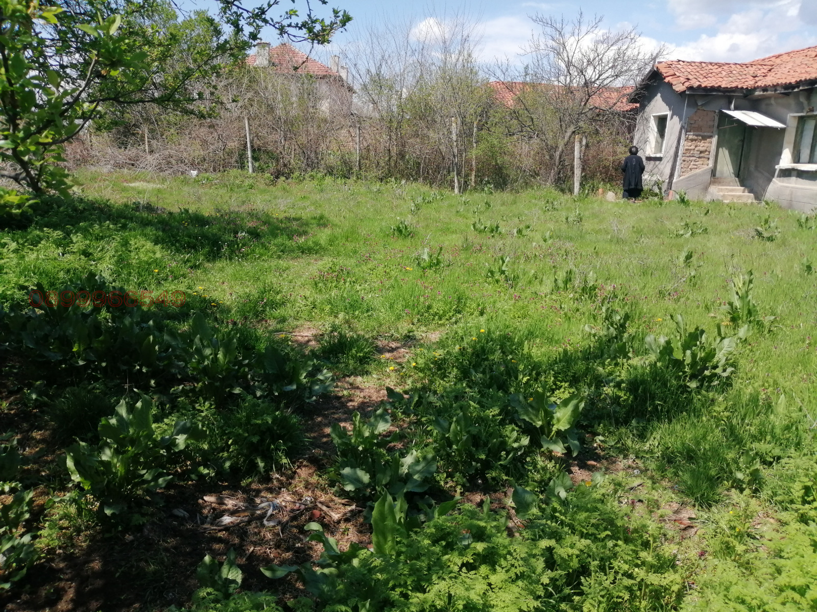 Продава КЪЩА, с. Отец Кирилово, област Пловдив, снимка 3 - Къщи - 56092451
