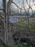 Продава ПАРЦЕЛ, с. Браниполе, област Пловдив, снимка 9