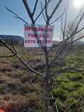 Продава ПАРЦЕЛ, с. Браниполе, област Пловдив, снимка 10