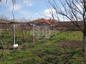 σπίτι Σμολνητσα, περιοχή Dobrich 12