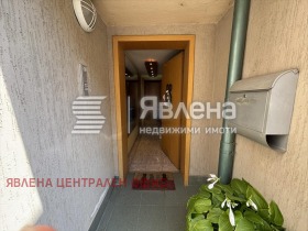 ������ ������� ����