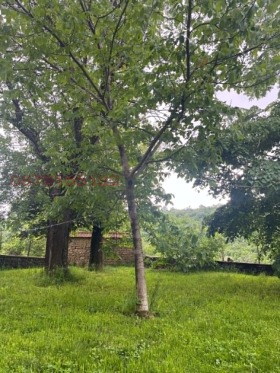 ������� ���� | Imot.bg � ����� ������ 15