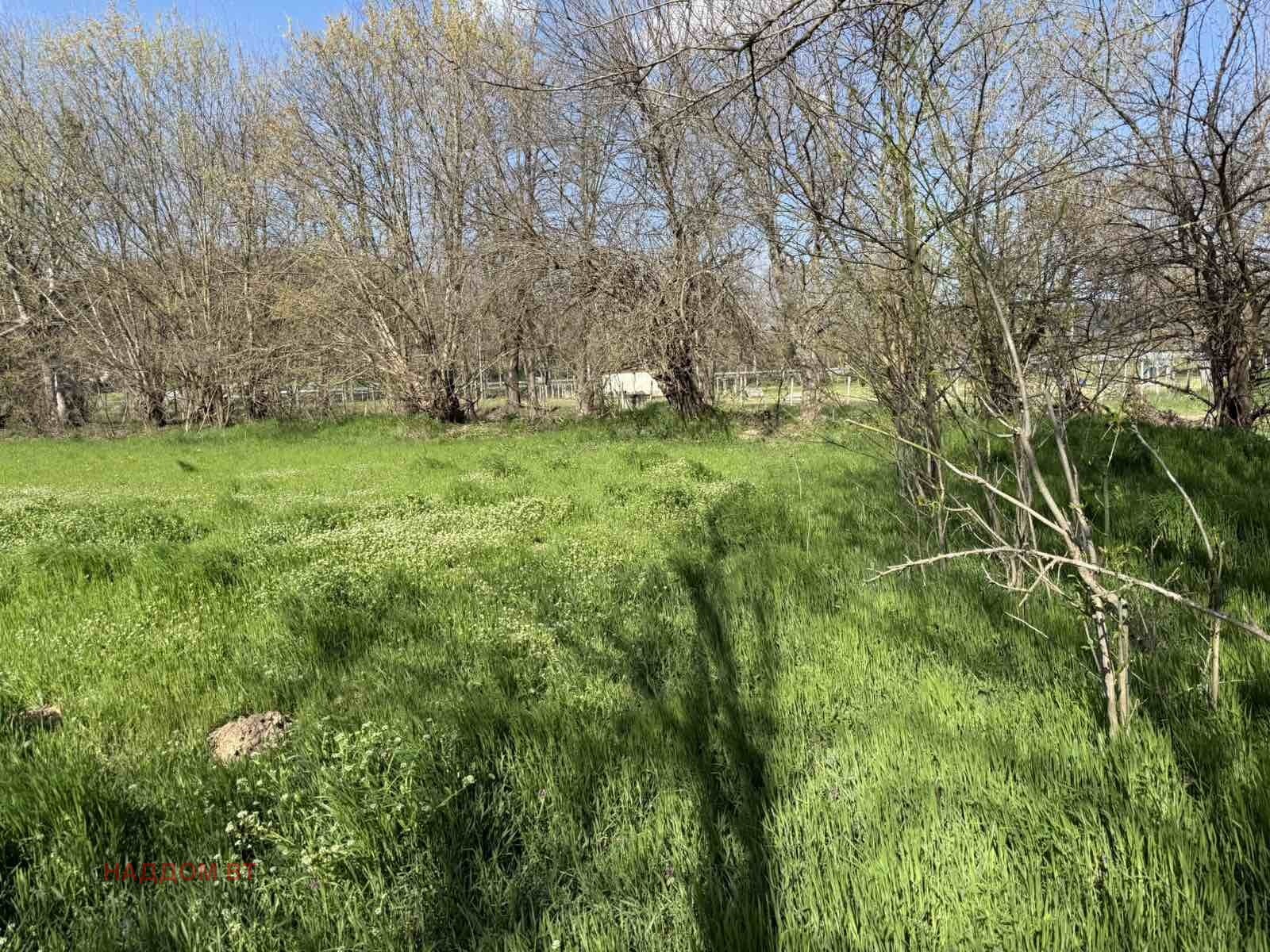 Продава ПАРЦЕЛ, гр. Дебелец, област Велико Търново, снимка 2 - Парцели - 54321114