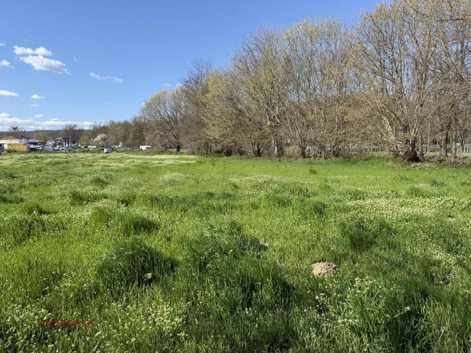 Продава ПАРЦЕЛ, гр. Дебелец, област Велико Търново, снимка 7 - Парцели - 54321114