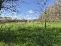 Продава ПАРЦЕЛ, област Велико Търново, гр. Дебелец • 35000 € / 68454.05 лв. • 26703046 6