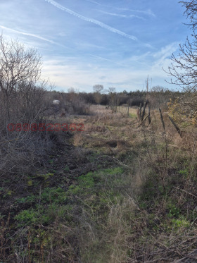 ������� ������ | Imot.bg � ����� ������ 17