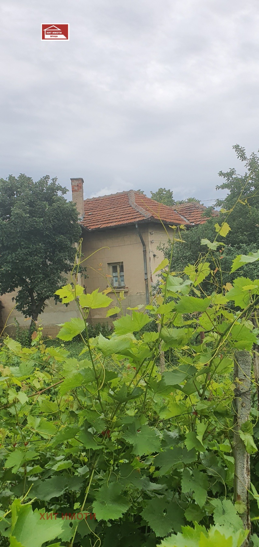Продава КЪЩА, с. Добролево, област Враца, снимка 7 - Къщи - 54256356