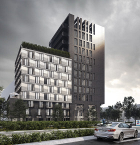 ����� ������� ����,���� �����, ����������� ������