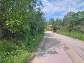 Grund Zdravkovets, region Gabrovo 13