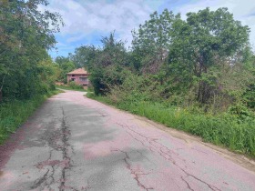 Grund Zdravkovets, region Gabrovo 12