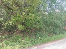 Grund Zdravkovets, region Gabrovo 9