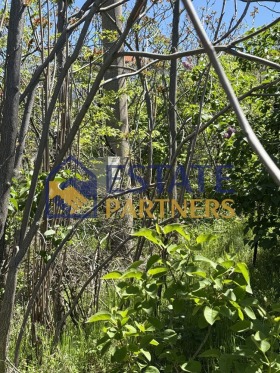 ������� ������ | Imot.bg � ����� ������ 5