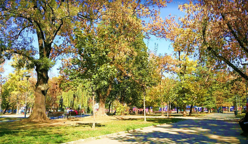 Продава  2-стаен град София , Левски , 79 кв.м | 58280697 - изображение [12]