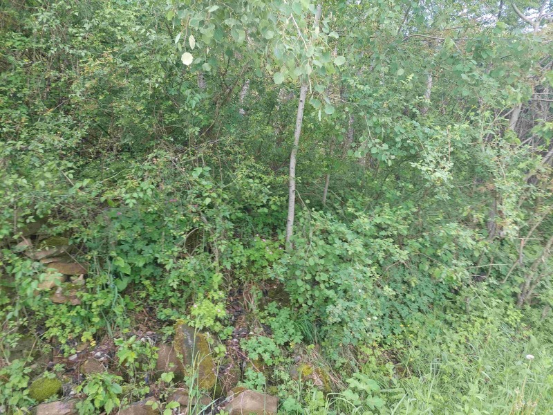 In vendita  Complotto regione Gabrovo , Zdravkovets , 1300 mq | 21645836 - Immagine [11]