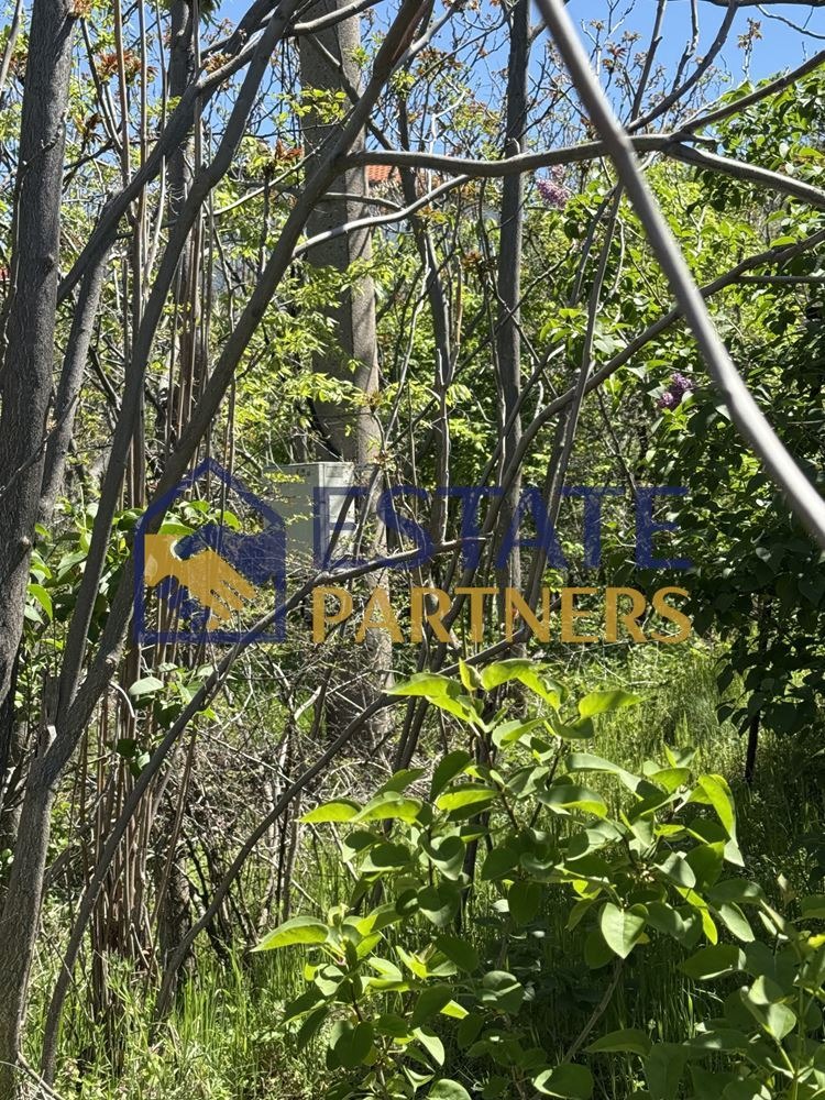 Продава ПАРЦЕЛ, с. Белащица, област Пловдив, снимка 4 - Парцели - 52655928