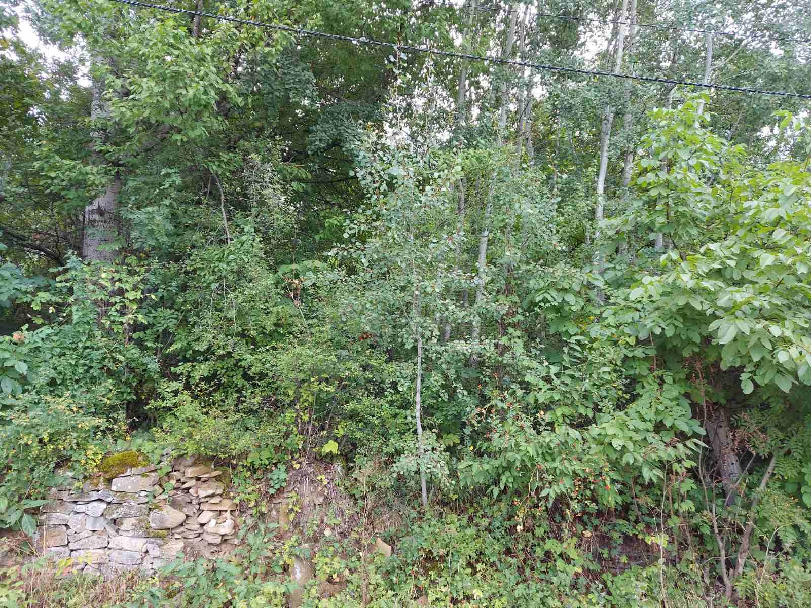 Продава ПАРЦЕЛ, с. Здравковец, област Габрово, снимка 2 - Парцели - 52603161