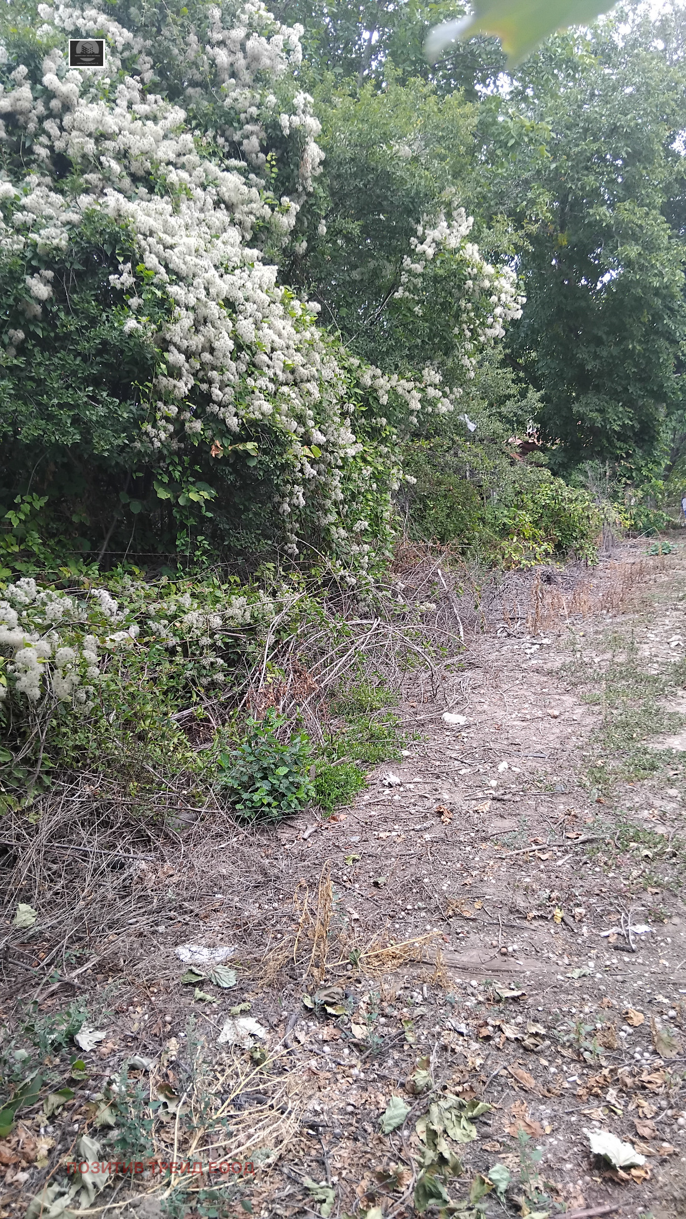 ������� ������ | Imot.bg � ����������� 2