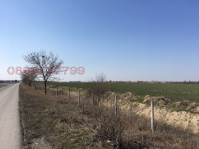 ����� ������� ������,���������� ������, ������ �������