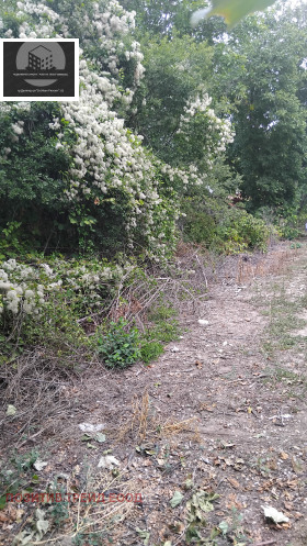 ������� ������ | Imot.bg � ����� ������ 2
