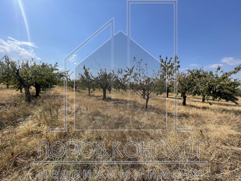 À vendre  Parcelle région Plovdiv , Brestnik , 3550 m² | 30834321 - image [2]