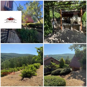 ����� ������� ����,�. ��������, ������ ������