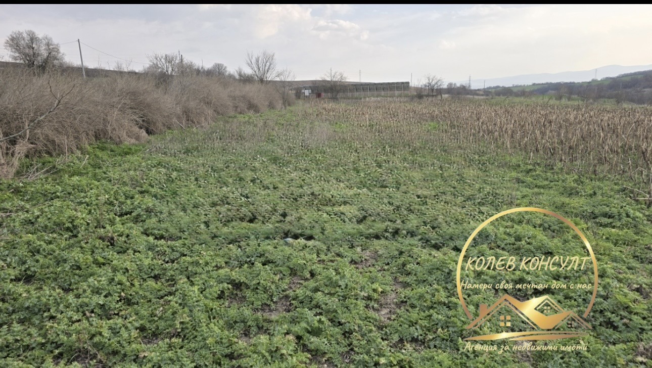 Продава КЪЩА, с. Георги Добрево, област Хасково, снимка 4 - Къщи - 54384697