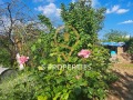 Продава ПАРЦЕЛ, гр. Варна, м-т Кантара, снимка 5