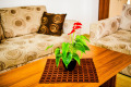 Продава 1-СТАЕН, област Бургас, к.к. Слънчев бряг • 63000 € • 39058695 — Holmes.bg