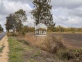 Продава  Парцел град Добрич , Балик , 7801 кв.м | 39633026 - изображение [3]