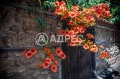 Продава МАГАЗИН, област Бургас, гр. Несебър • 850000 € / 1662455.50 лв. • 47250178 10
