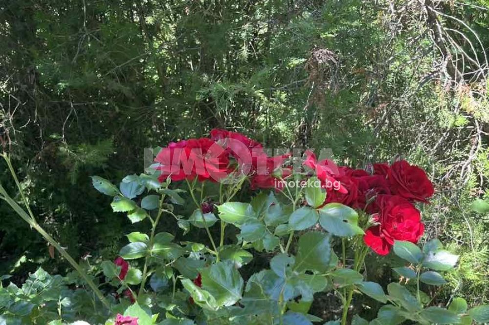 ������� ���� | Imot.bg � ����������� 8