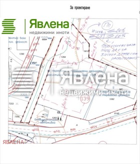 ������ ������� ������