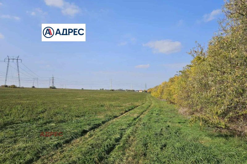Na prodej  Spiknutí oblast Varna , Ezerovo , 8500 m2 | 79783552