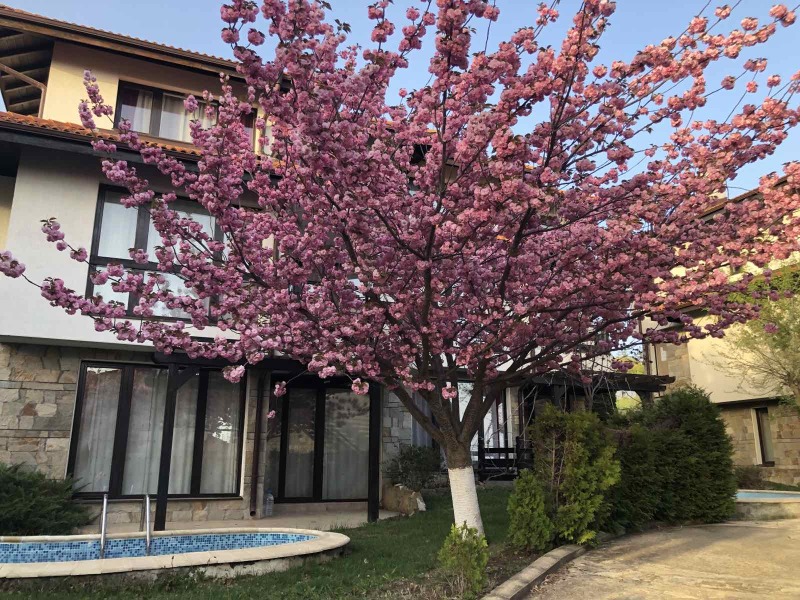 Продава ПАРЦЕЛ в област Бургас, с. Кошарица - 9630 кв.м / 963 000 € » 1 883 464.29 лв.