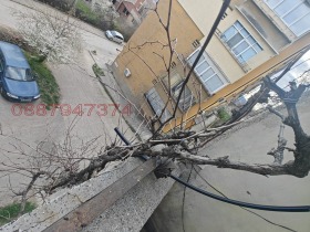 ������� 2-����� | Imot.bg � ����� ������ 13