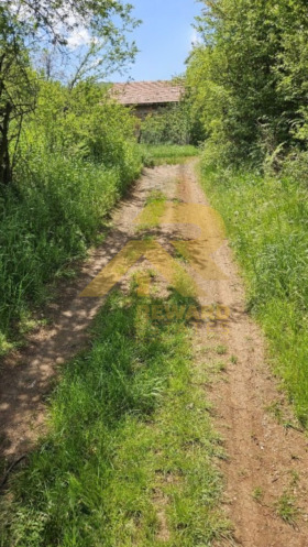 Komplo Bela voda, Pernik 3