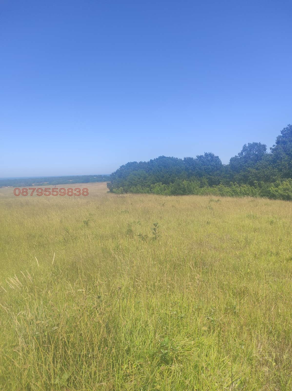 ������� ���������� ���� | Imot.bg � ����������� 2