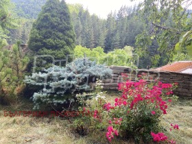 Casa Orehovo, regiunea Smolyan 6