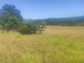 ������� ���������� ���� | Imot.bg � ����� ������ 5