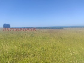 ������ ������� ���������� ����