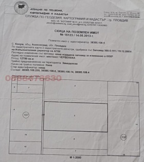 ����� ������� ���������� ����,�. �����, ������ �������