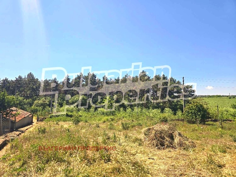 In vendita  Casa regione Dobrič , Gurkovo , 53 mq | 31515956 - Immagine [4]