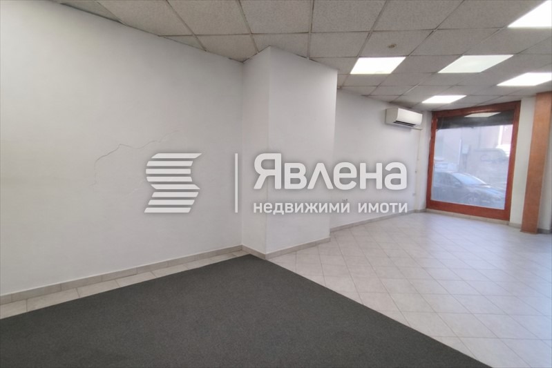 Продава МАГАЗИН, гр. Пловдив, Център, снимка 3 - Магазини - 55828742
