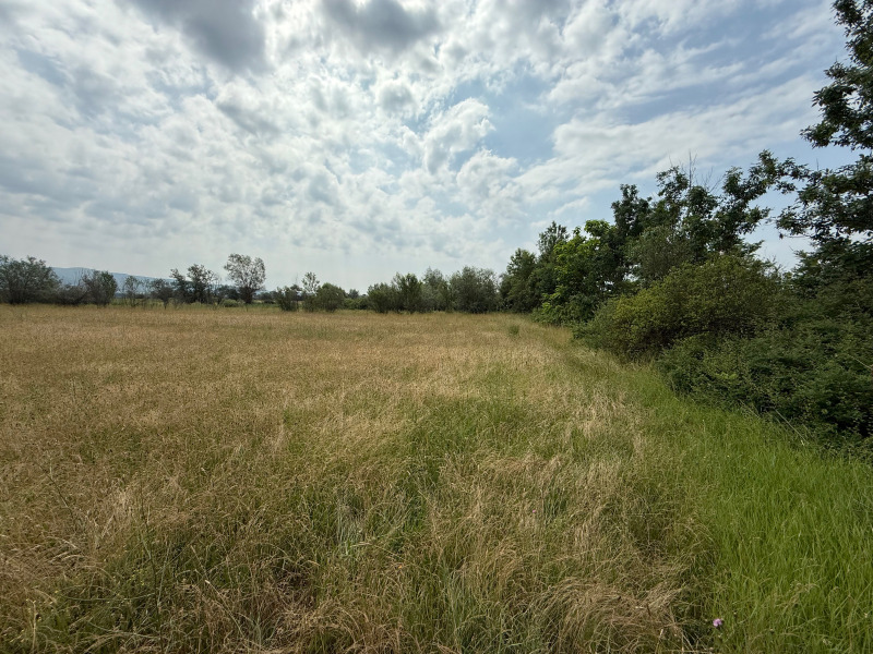 Продава  Парцел област Благоевград , гр. Гоце Делчев , 2800 кв.м | 71596709 - изображение [2]