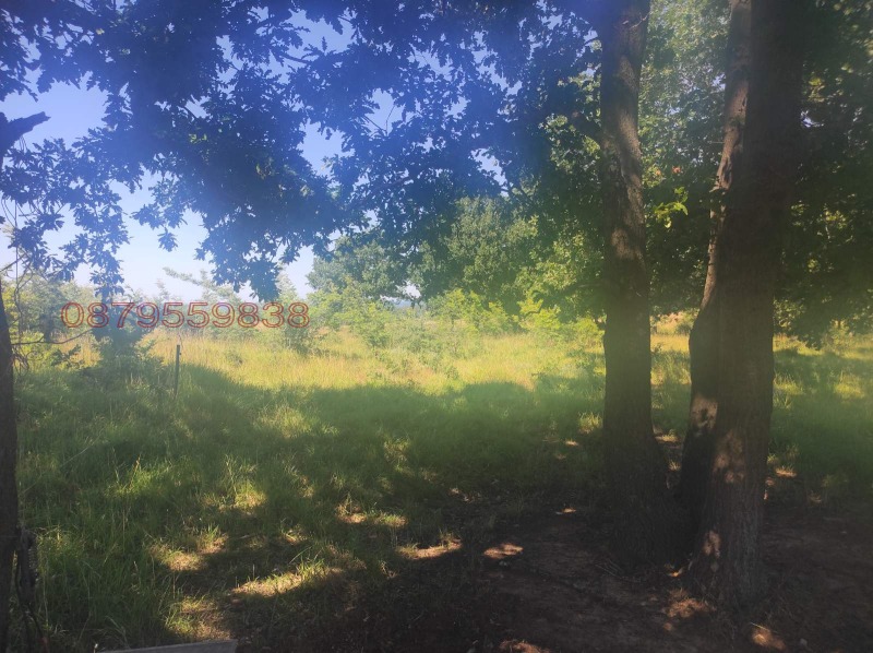 Продава ЗЕМЕДЕЛСКА ЗЕМЯ, гр. Ахтопол, област Бургас, снимка 3 - Земеделска земя - 53172041