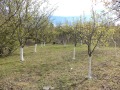 Продава ВИЛА, град Враца, Студентски град • 120000 лв. • 63055810 — Holmes.bg