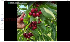 ������� ������ | Imot.bg � ����� ������ 10