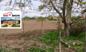 Parcelle Vedrina, région de Dobritch