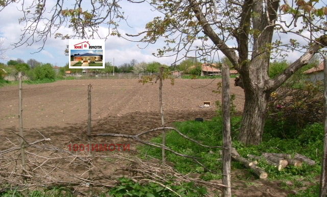 À vendre  Parcelle région de Dobritch , Vedrina , 1840 m² | 28494651