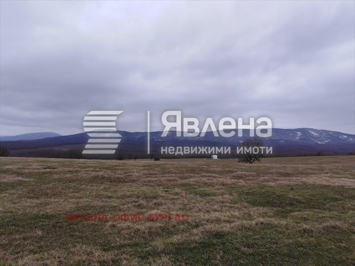 Продава  Парцел област Бургас , с. Велика , 4992 кв.м | 80172574 - изображение [2]